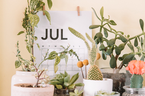 府中の神様みよこ先生の21年ラッキーナンバー 各数字が持つ意味は